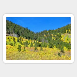 Guanella Pass Study 1 Sticker